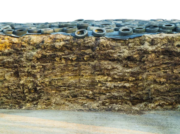 Fotos de Estiércol, Imágenes de Estiércol ⬇ Descargar | Depositphotos