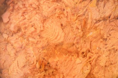 konserve ton balığı