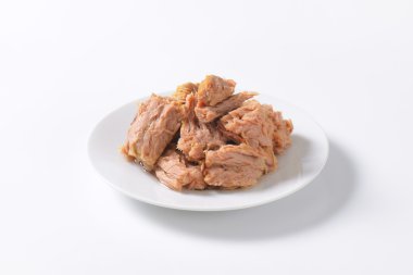 konserve ton balığı