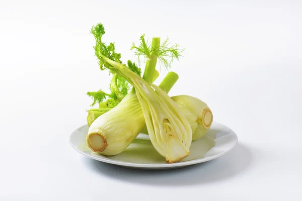 Fresh fennel bulbs — Stock Photo, Image