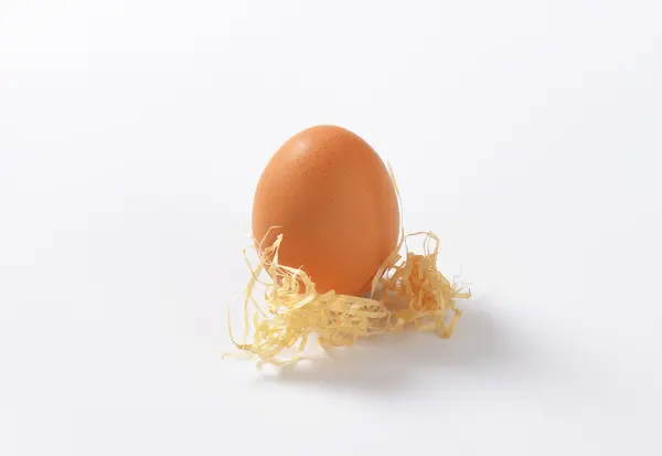 Brown egg — Stock Photo, Image