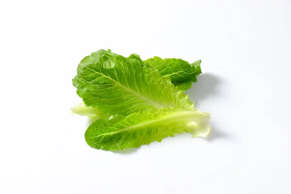 Romaine Sla — Stockfoto