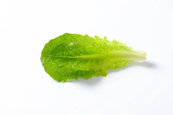 Lechuga Romaine — Foto de Stock