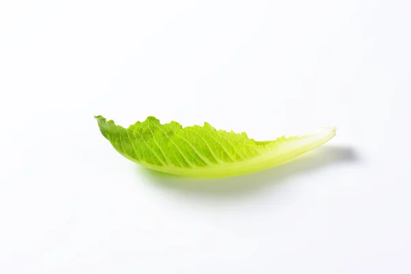 Romaine Sla — Stockfoto