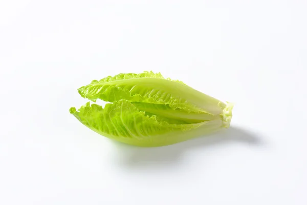 Romaine lettuce — Stock Photo, Image