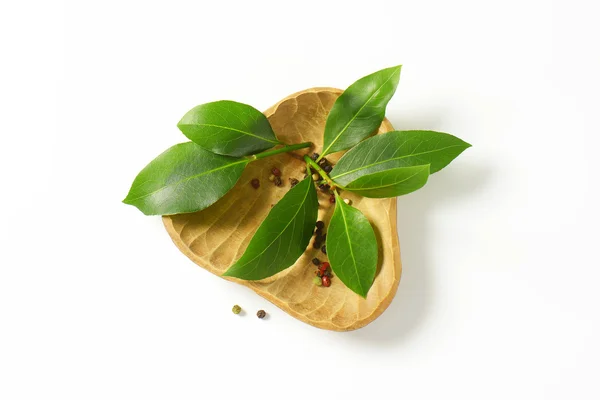 Sprig of bay leaves and peppercorns — Stock Photo, Image