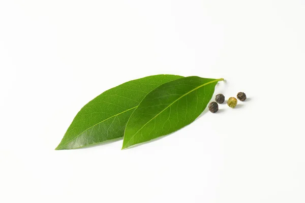 Čerstvý bobkový list a černým pepřem — Stock fotografie