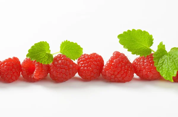 Fresh raspberries — Stock Photo, Image