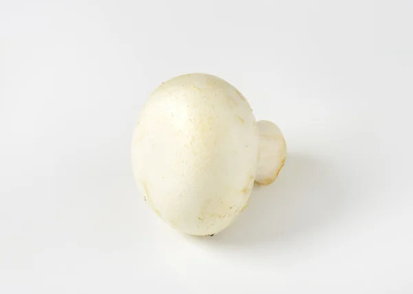 Cogumelo de botão branco — Fotografia de Stock