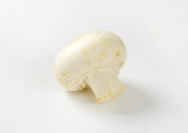 White button mushroom — Stock Photo, Image