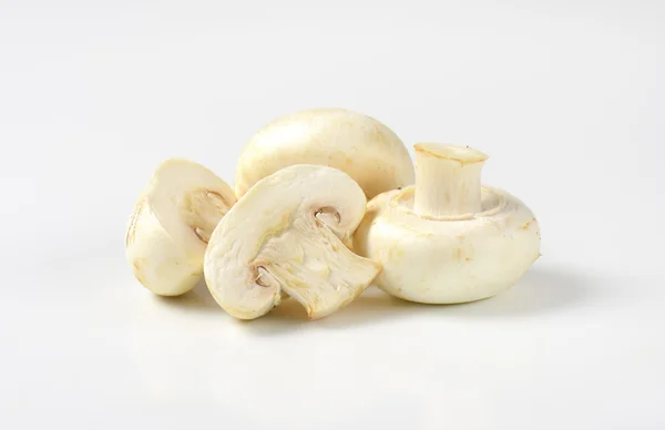 Champignons à chapeau blanc frais — Photo