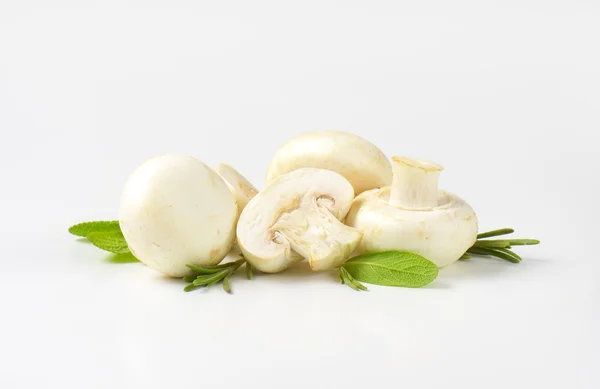 Raw white mushrooms — Stock Photo, Image