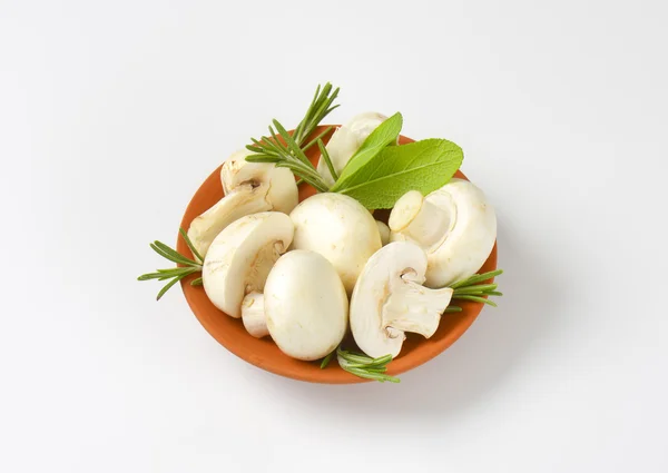 Champignons de bouton frais et herbes culinaires — Photo