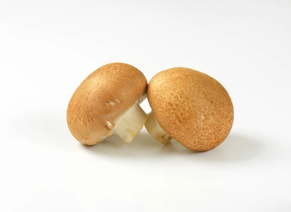 Brown cap mushrooms — Stock Photo, Image