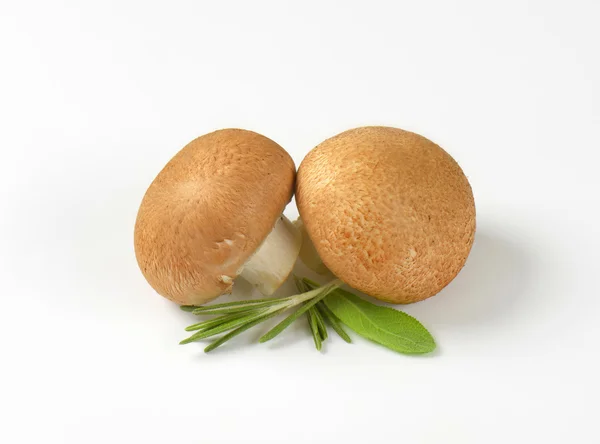 Brown cap mushrooms — Stock Photo, Image