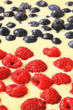 sünger kek hamuru berry meyve ile