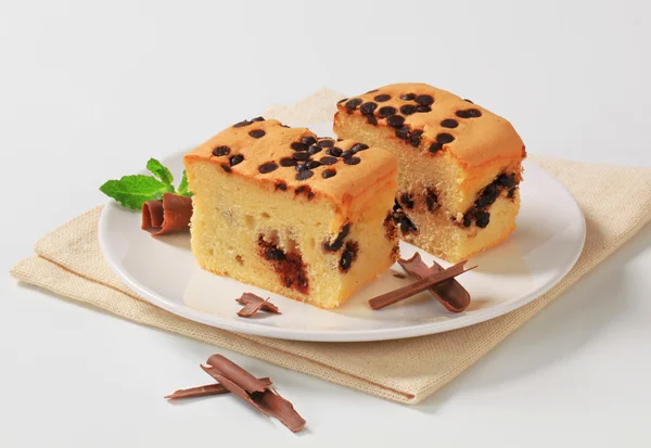 Sponge cake with chocolate chips — Stock Photo, Image