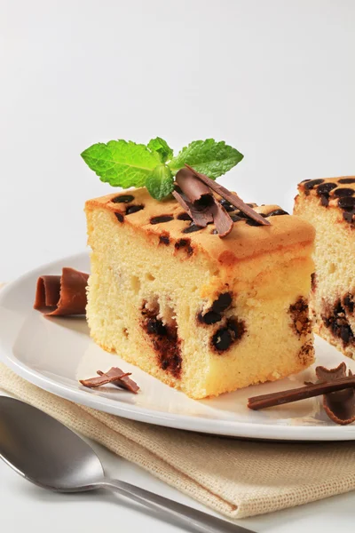 Sponge cake with chocolate chips — Stock Photo, Image