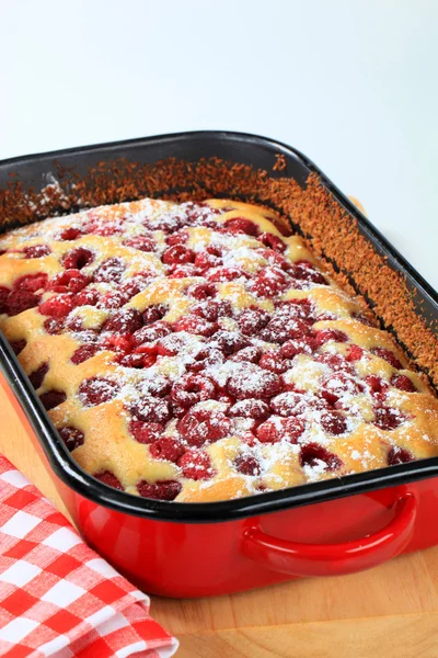 Raspberry sponge cake — Stock Photo, Image