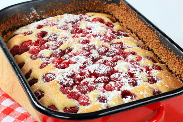 Raspberry sponge cake — Stock Photo, Image