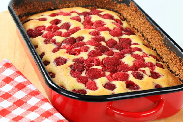 Raspberry sponge cake — Stock Photo, Image