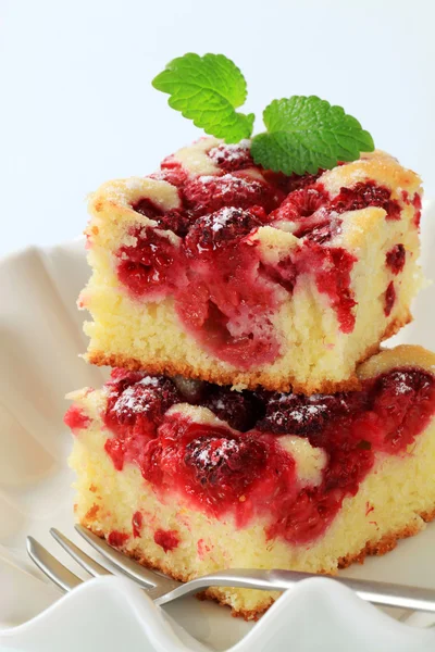 Raspberry sponge cake — Stock Photo, Image