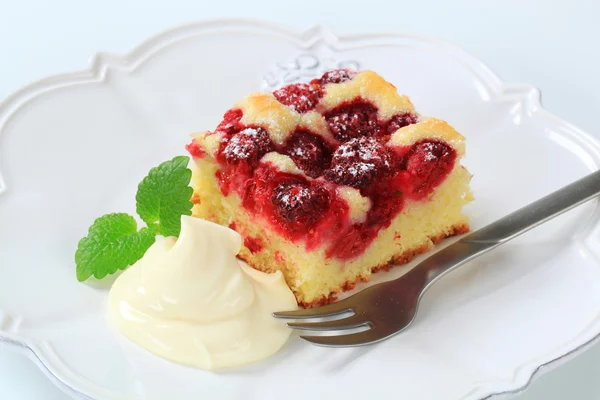 나무 딸기 스펀지 케이크 — 스톡 사진