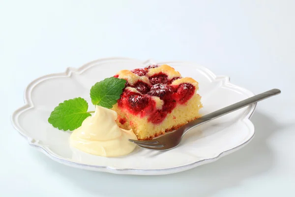 Raspberry sponge cake slice — Stock Photo, Image