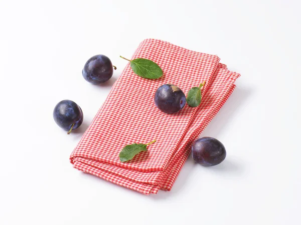 Susine Damson fresche — Foto Stock