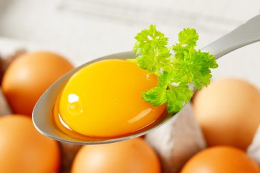 Kaşık çiğ yumurta sarısı