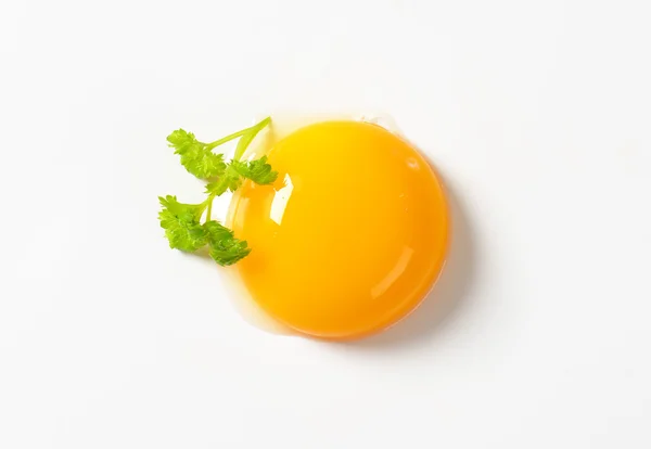 Gema de ovo cru — Fotografia de Stock