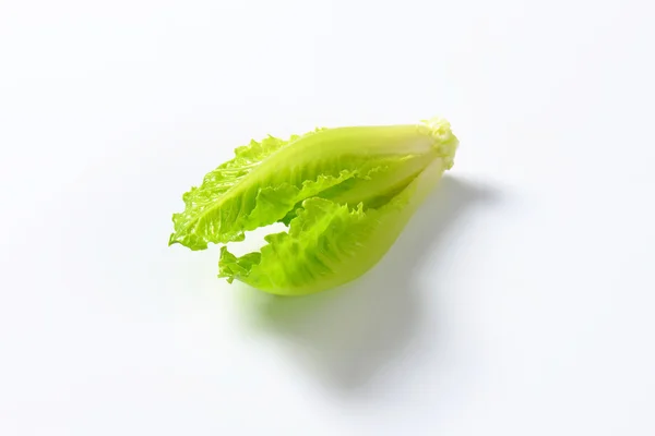 Romaine salată verde inima — Fotografie, imagine de stoc