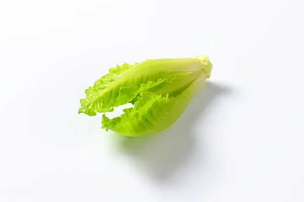 Romaine sallad hjärta — Stockfoto