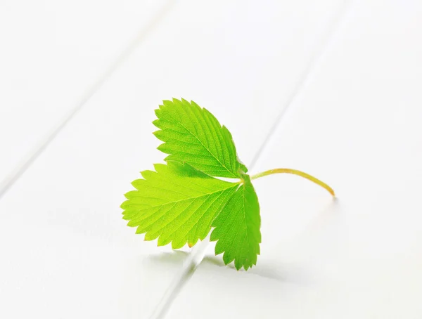 Yeşil çilek yaprağı — Stok fotoğraf