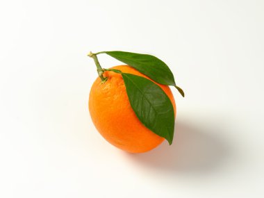 Olgun turuncu yaprak ile