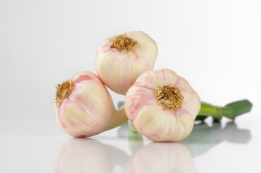 taze sarımsak ampuller