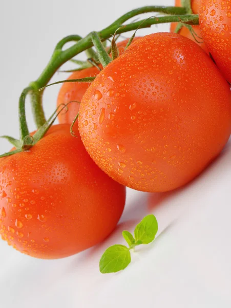 Bund frischer Tomaten — Stockfoto