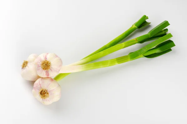 Fresh garlic bulbs — Stock Photo, Image