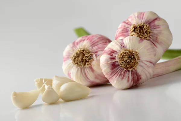 Garlic bulbs and cloves — Stock Photo, Image