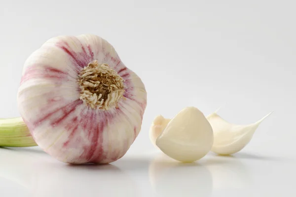 Garlic bulb and cloves — Stock Photo, Image