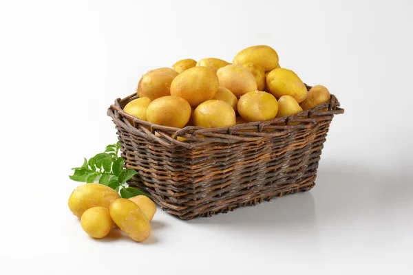 Cesta de batatas — Fotografia de Stock