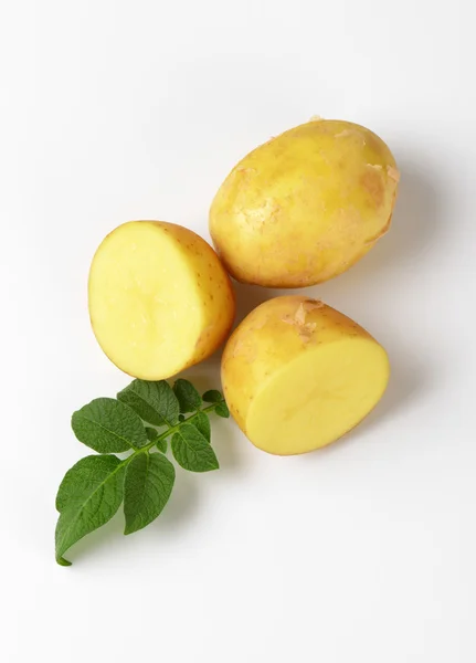 Patate crude non pelate — Foto Stock