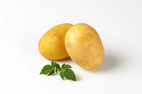 Dwie młode ziemniaki — Zdjęcie stockowe
