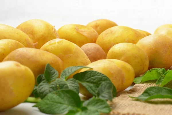 Grupo de batatas novas — Fotografia de Stock