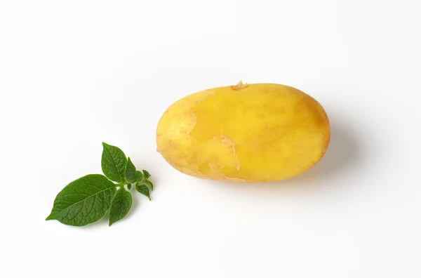 Uma batata inteira — Fotografia de Stock