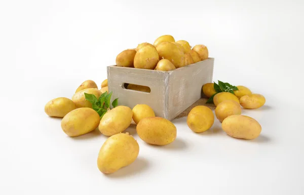 Коробка картошки — стоковое фото