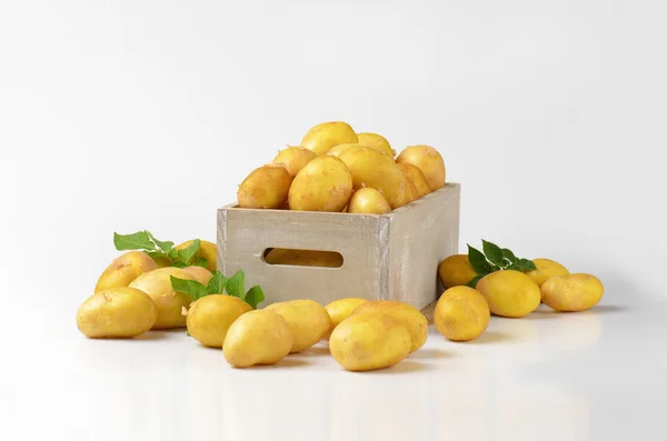 감자 한 상자 — 스톡 사진