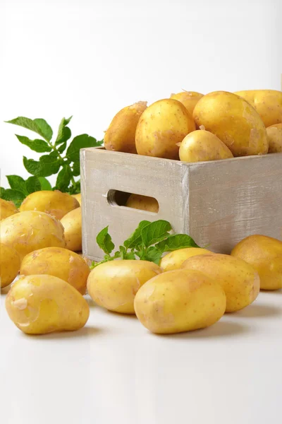 Caja de patatas — Foto de Stock