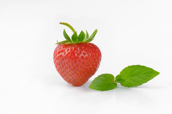 One fresh strawberry — Stock Photo, Image