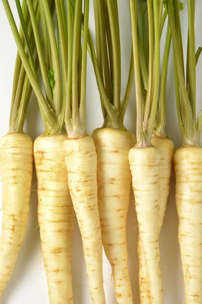 Fresh parsley roots — Stock Photo, Image